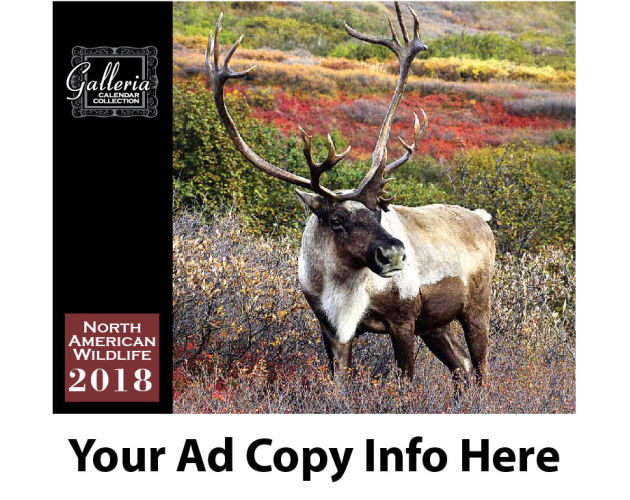 North American Wildlife Wall Calendar