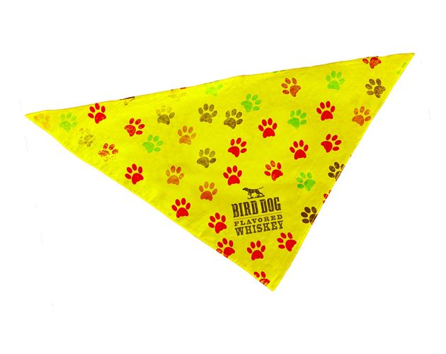 Large Full Color Sublimated Triangle Pet Bandana