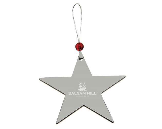 Silver Star Ornament