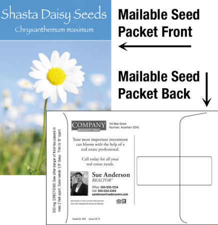 Shasta Daisy Mailable Seed Packet