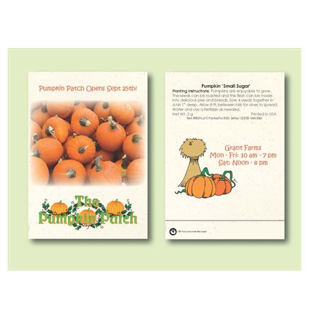 'Small Sugar' Pumpkin Seed Packet (3.25" x 4.5")