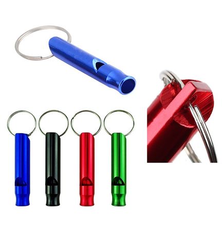 Metal Whistle With Key Ring